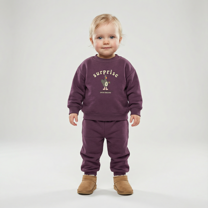 Cozy Two-Piece Outfit Set – Soft Top & Matching Bottoms